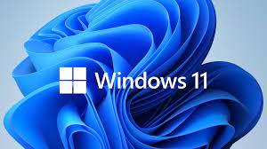Microsoft Windows 11 PRO  64-Bit OEM Operating System   - FQC-10529